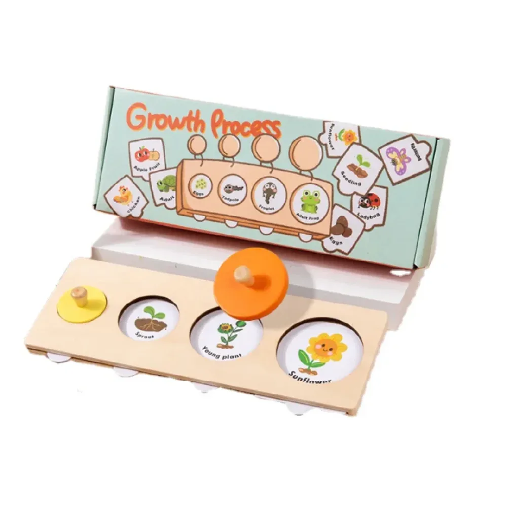 Growth Process Game, montessori, ages 3+