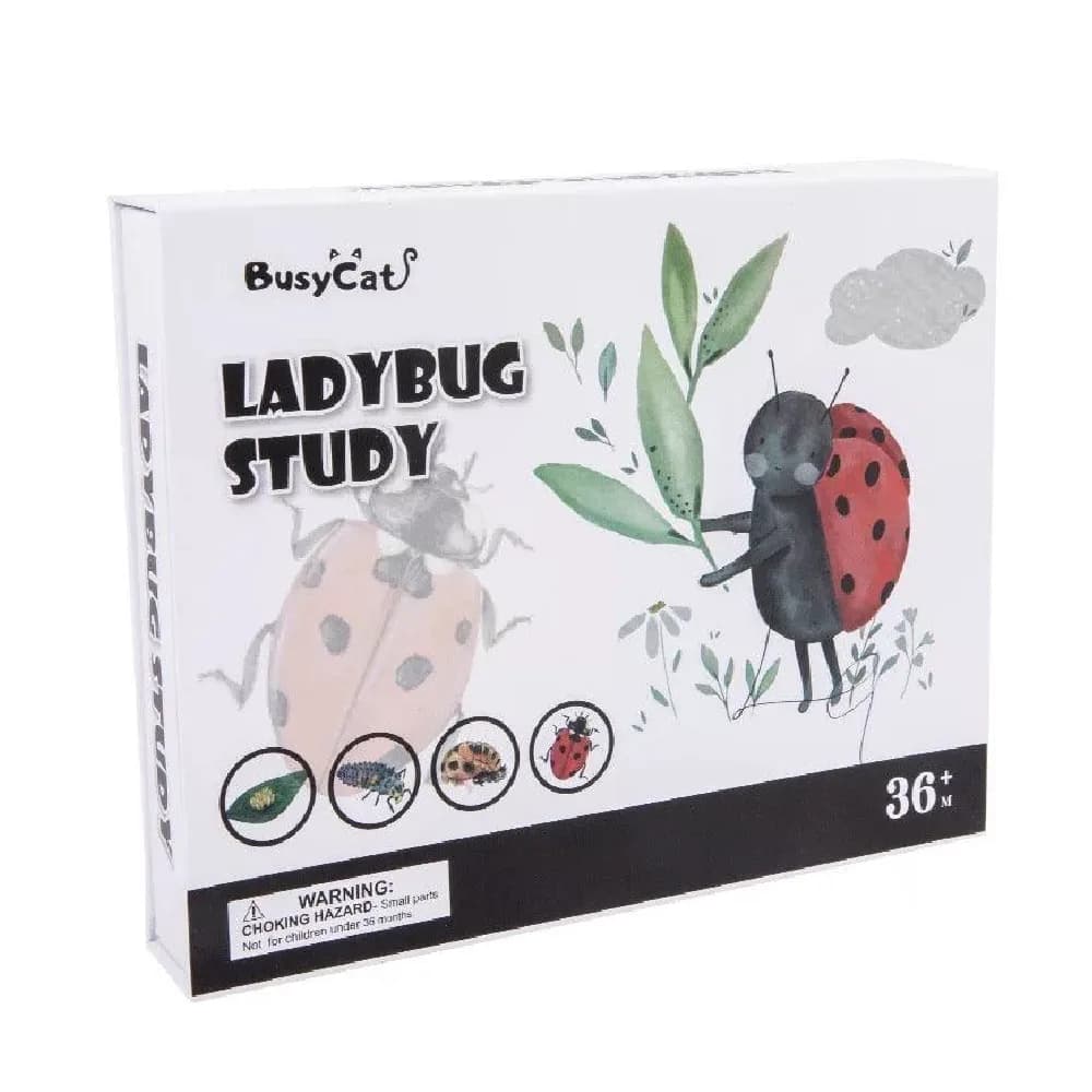 Montessori LadyBug Tudy Game Set, montessori, ages 3+